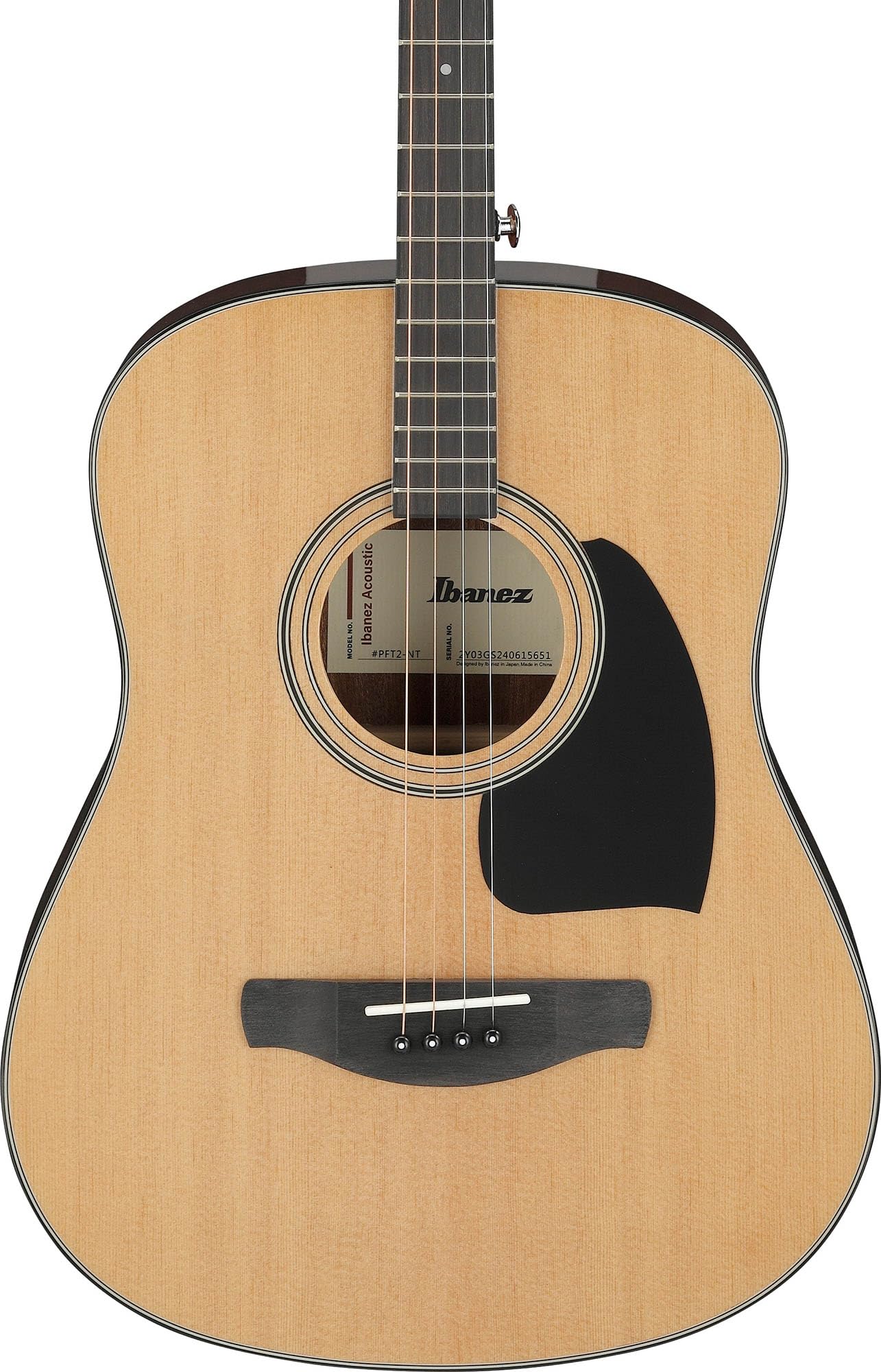 Ibanez PFT2 PF Performance Mini Dreadnought Acoustic Guitar - Natural High Gloss w/ Gig Bag