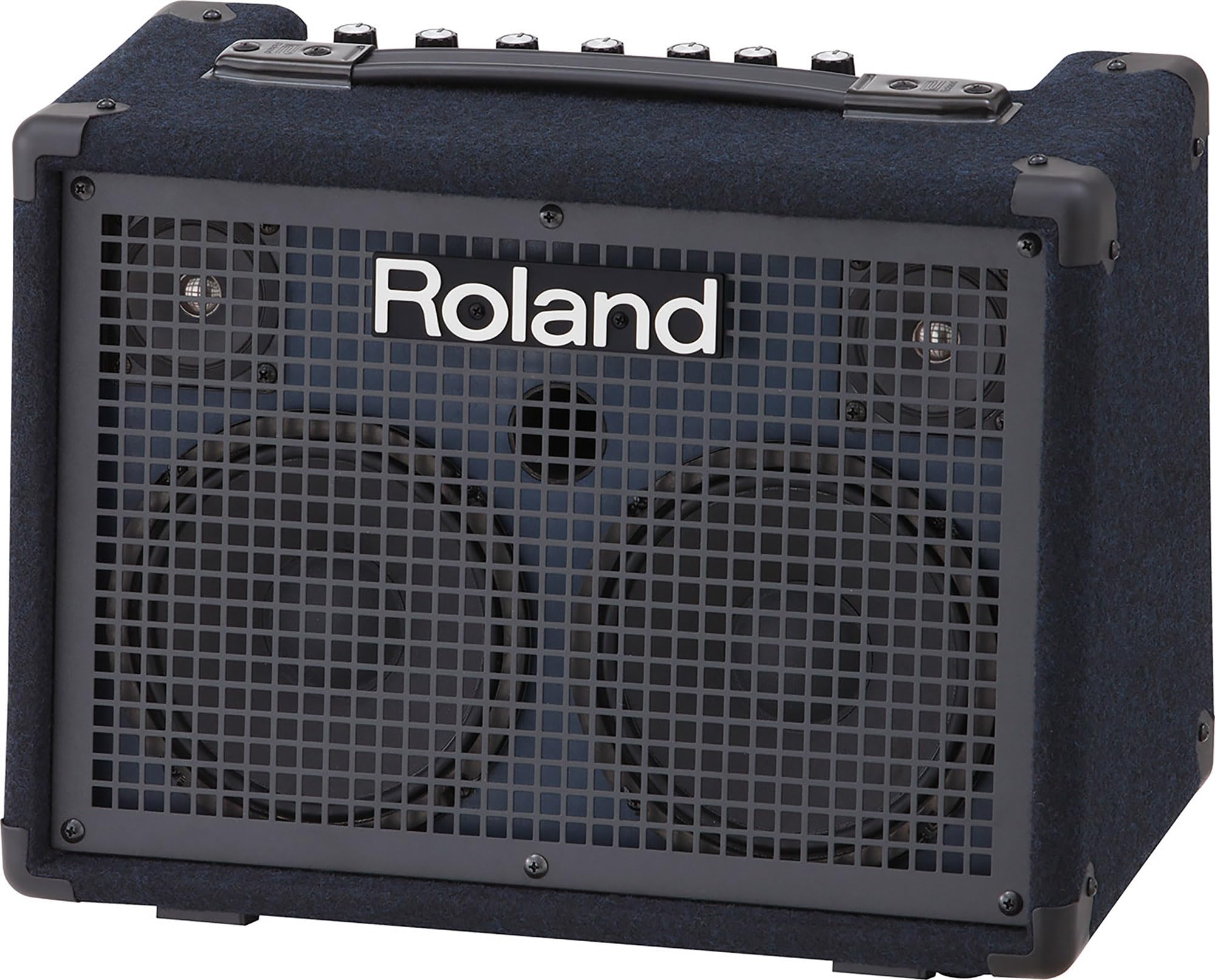 Roland KC-220 Battery-Powered Stereo Keyboard Amplifier w/ Instrument Cable