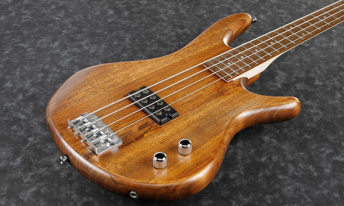 Ibanez GSR100EX SR Gio Bass Guitar - Mahogany Oil w/ Gig Bag