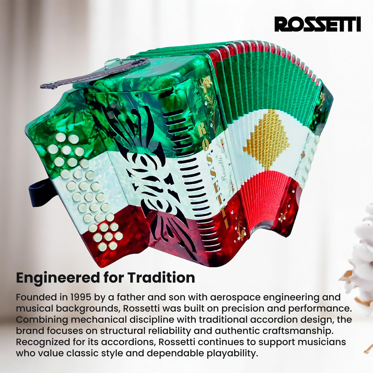 Rossetti 3112 31-Button 12-Bass Diatonic Accordion, Key of GCF - Italian Flag Tricolor w/ Hard Case
