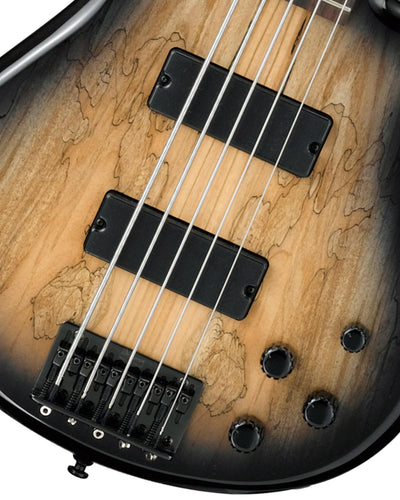 Ibanez GSR205SM SR Gio Bass Guitar - Natural Gray Burst w/ Gig Bag