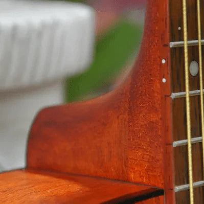 Bodhi BG10M African Okoume Mahogany Top Concert Acoustic Guitar