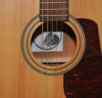 Bodhi BG10S Solid Spruce Top Concert Acoustic Guitar