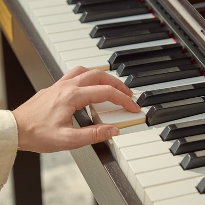 Casio AP-750 Celviano 88-Key Digital Piano - Rosewood