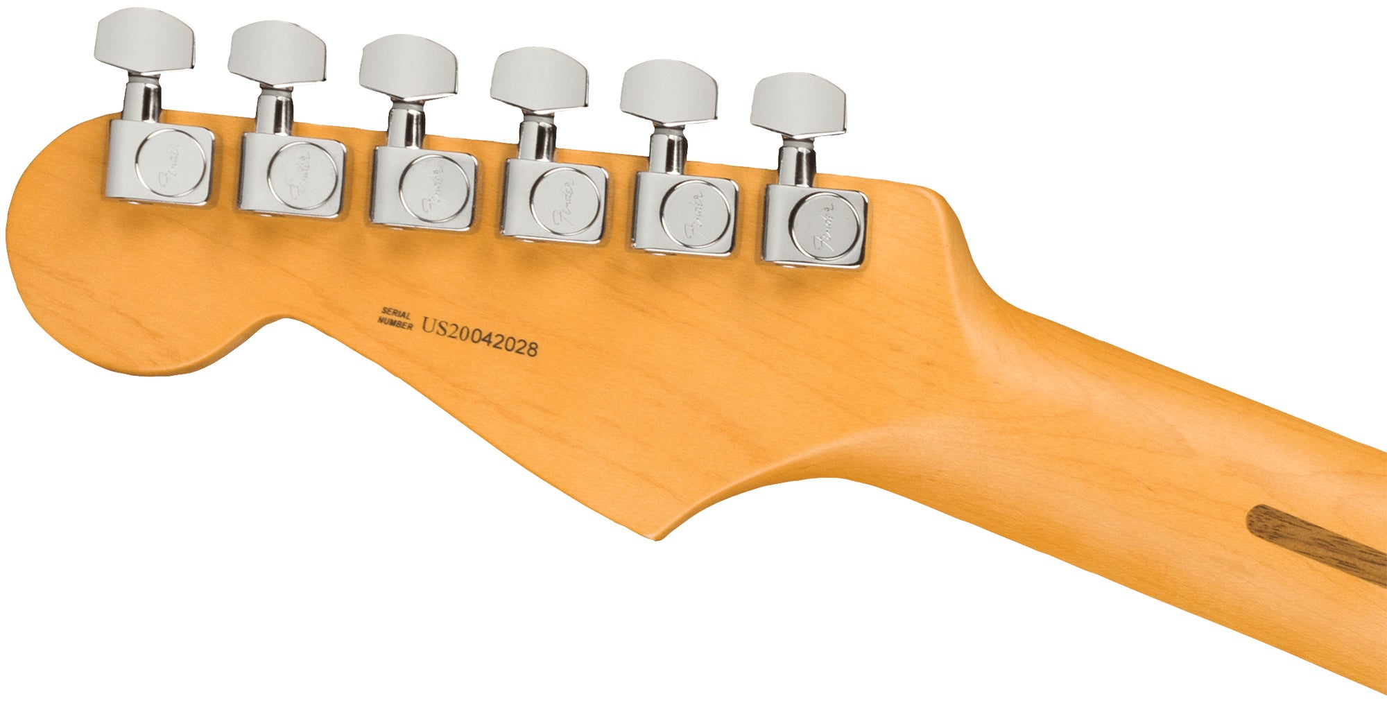 Fender American Professional II Stratocaster - Dark Night