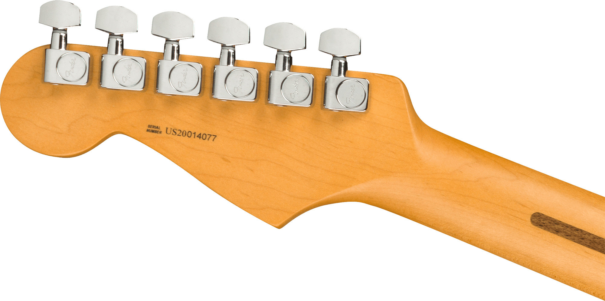 Fender American Professional II Stratocaster - Roasted Pine w/ Guitar Cleaning Kit