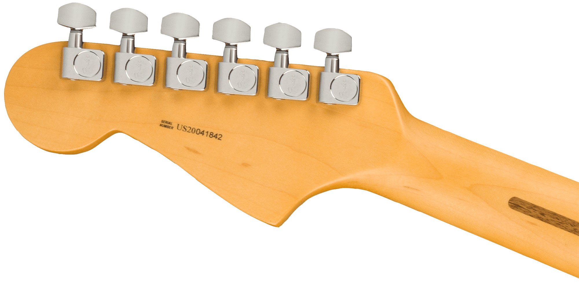 Fender American Professional II Jazzmaster - Dark Night w/ Cleaning Kit