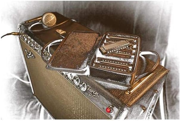 Fender Blues Deluxe Harmonica Set of 7 Keys (C, G, A, D, F, E, Bb) with Case