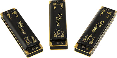 Fender Blues DeVille Harmonica 3 Pack w/ Austin Bazaar Instructional Manual