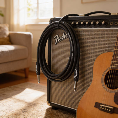 Fender Professional Series 10-Foot Instrument Cable, Straight-Straight, Black - 2 Pack