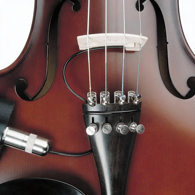 Fishman Classic Series V-200 Professional Violin Pickup w/ Instrument Cable