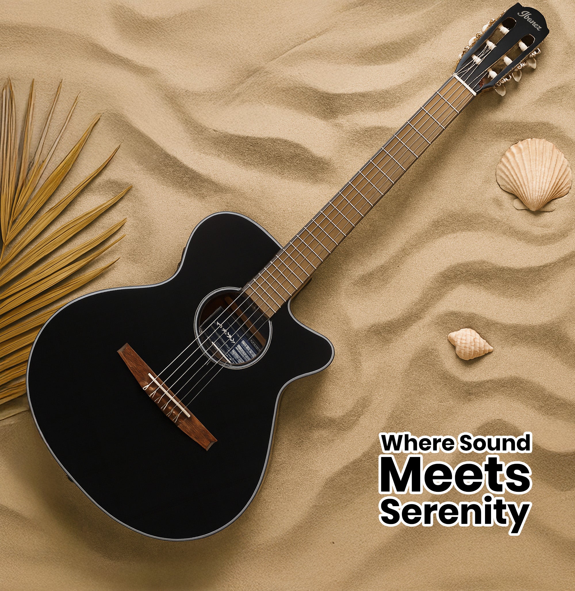 Ibanez AEG50N AEG Nylon String Acoustic-Electric Guitar - Black High Gloss Top w/ Gig Bag