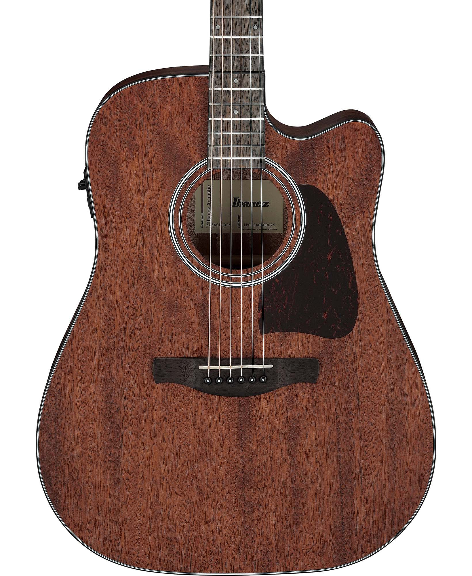 Ibanez AW54CE Acoustic-Electric Guitar - Open Pore Natural