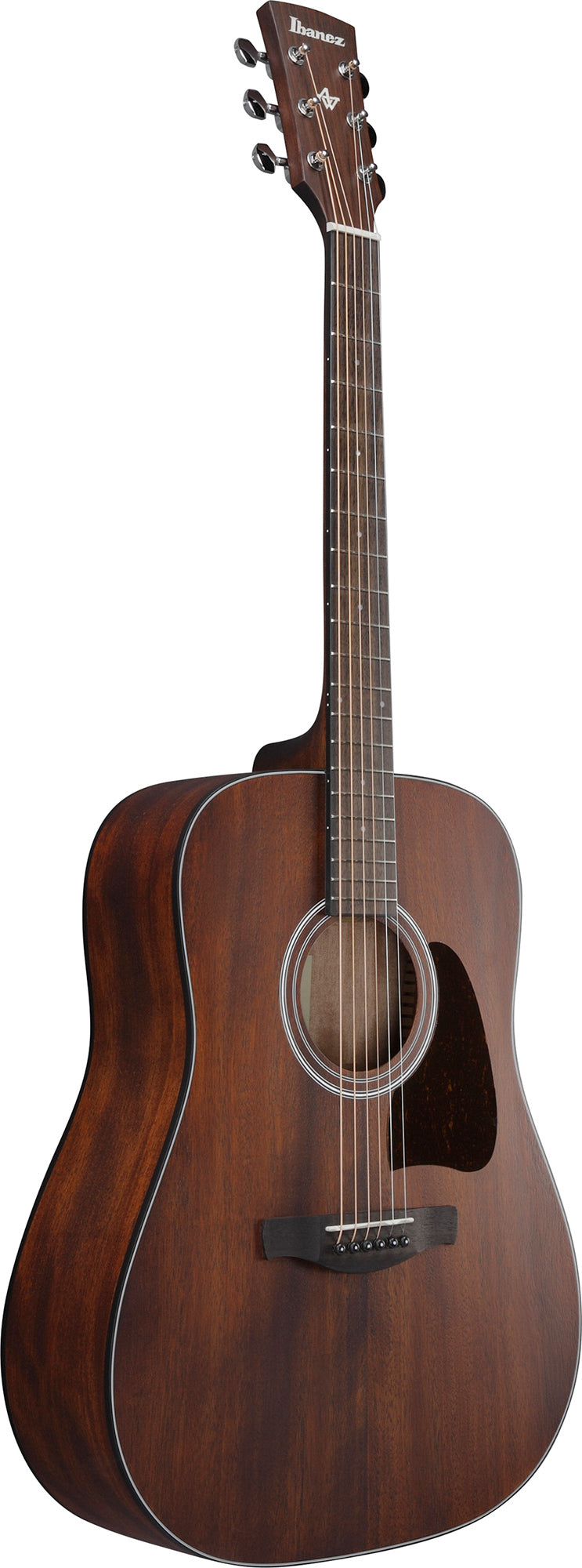 Ibanez AW54 Artwood Acoustic Guitar - Open Pore Natural w/ Case