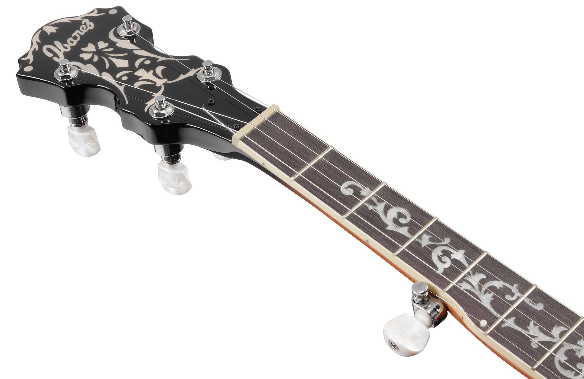 Ibanez B200 5-String Banjo