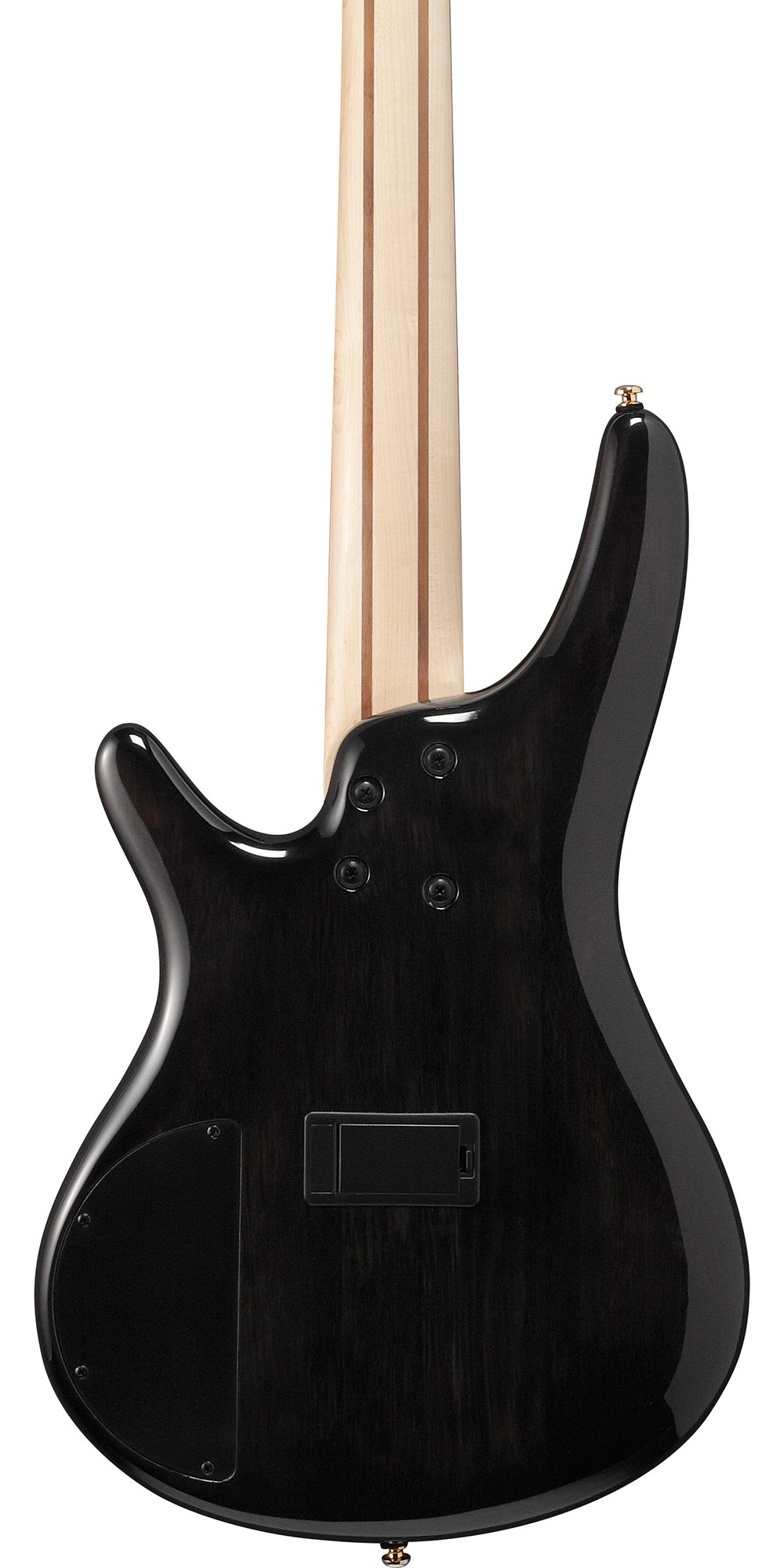 Ibanez SR405EPBDX SR Standard 5-String Bass Guitar - Tropical Seafloor Burst