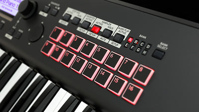 Korg Kross 2 88-Key Synthesizer Workstation - Matte Black