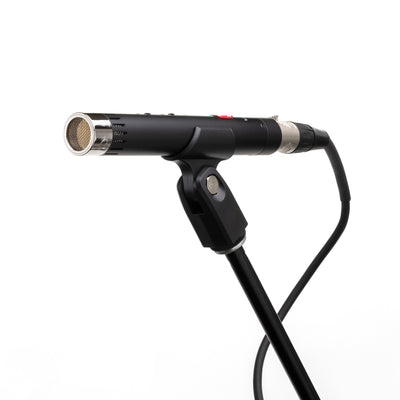 Lauten Audio LA-120 V2 Large-Diaphragm Tube Condenser Microphone