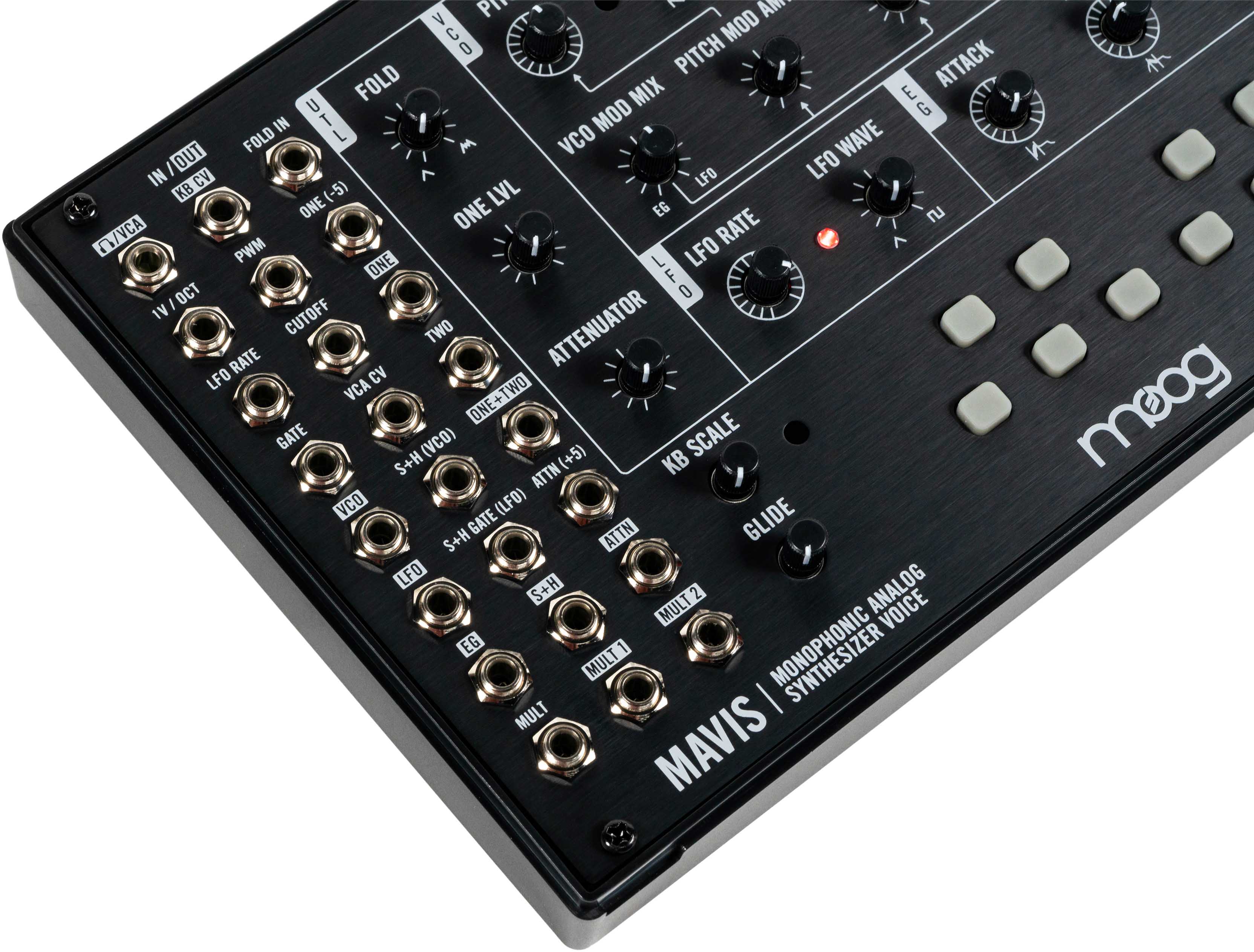 Moog Mavis Semi-Modular Analog Synthesizer Kit