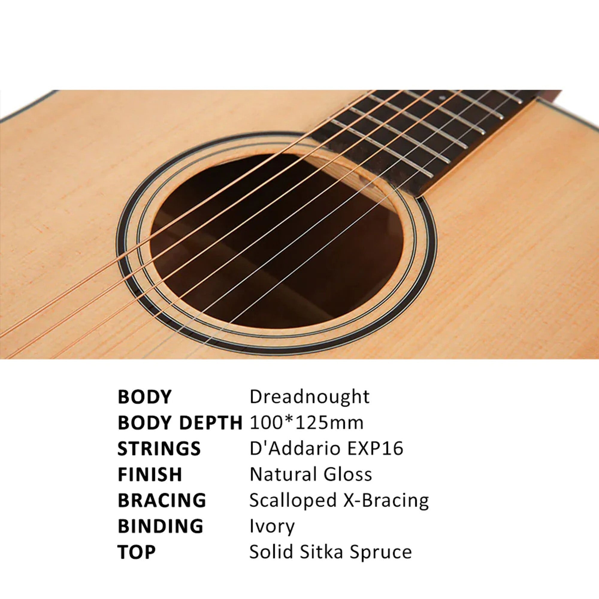 Parkwood S61 Dreadnought Body Acoustic Guitar - Natural