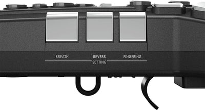 Roland AE-05 Aerophone Go Digital Wind Instrument - Graphite w/ Headphones