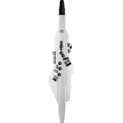 Roland Aerophone AE-20W Digital Wind Instrument