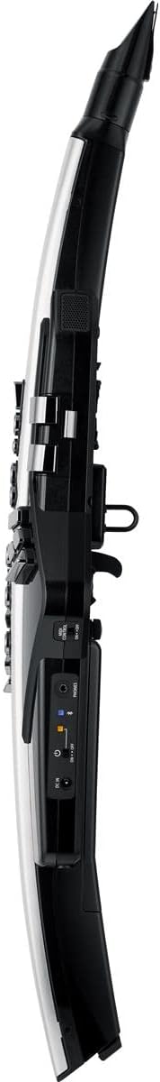 Roland AE-30 Aerophone Pro Digital Wind Instrument