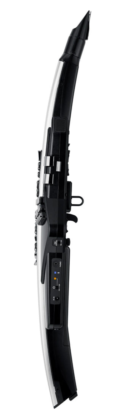 Roland AE-30 Aerophone Pro Digital Wind Instrument w/ Headphones