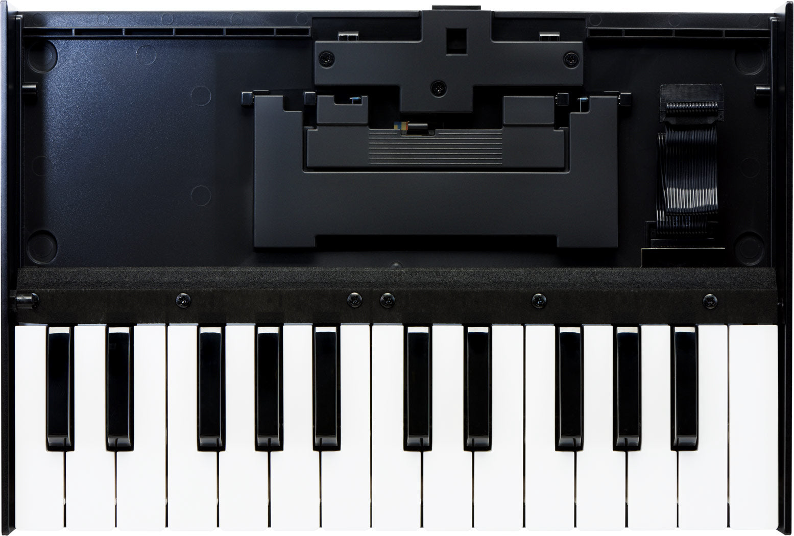 Roland K-25m Portable Keyboard Unit for Roland Boutique Modules