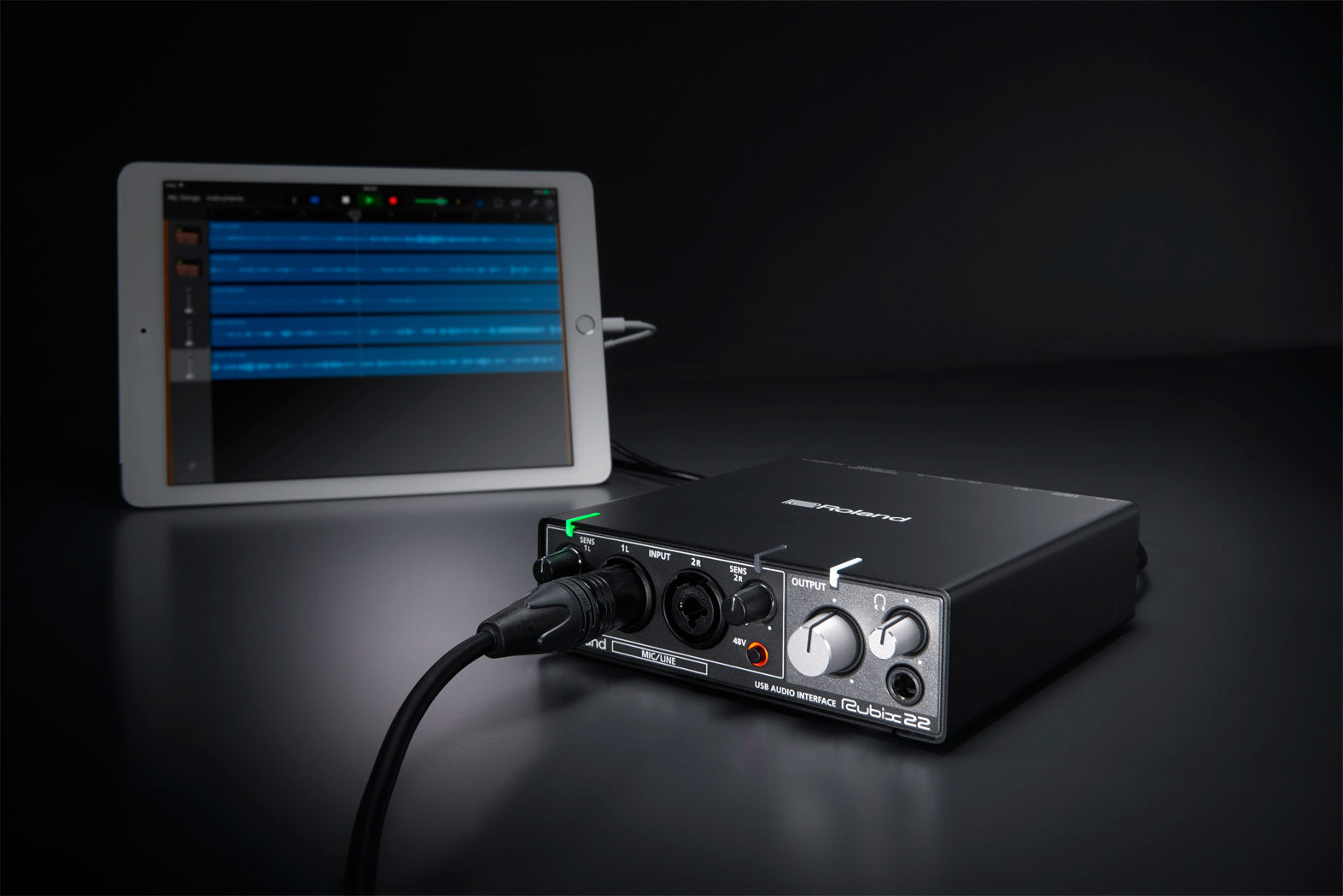 Roland RUBIX22 2-In 2-Out USB Audio Interface w/ Instrument Cable