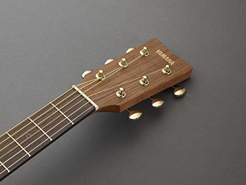 Yamaha Storia II Solid Spruce Top Concert Acoustic Guitar - Natural