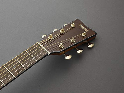 Yamaha Storia III Solid Mahogany Top Concert Acoustic Guitar - Chocolate Brown