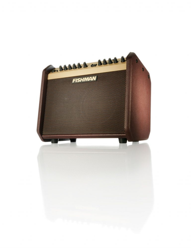 Fishman 60 Watts Loudbox Mini Amplifier