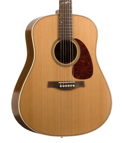 Artist Mosaic Guitar