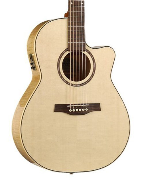 Performer CW Guitar